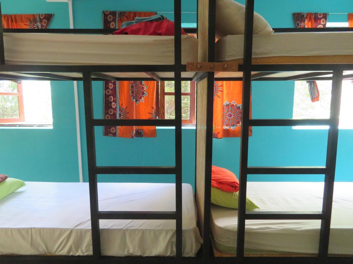 Praiadise Hostel Vila Nova المظهر الخارجي الصورة