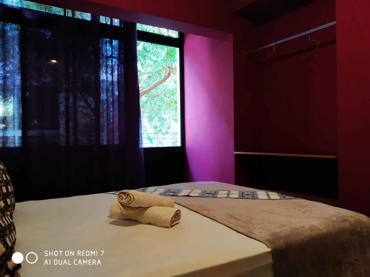 Praiadise Hostel Vila Nova المظهر الخارجي الصورة