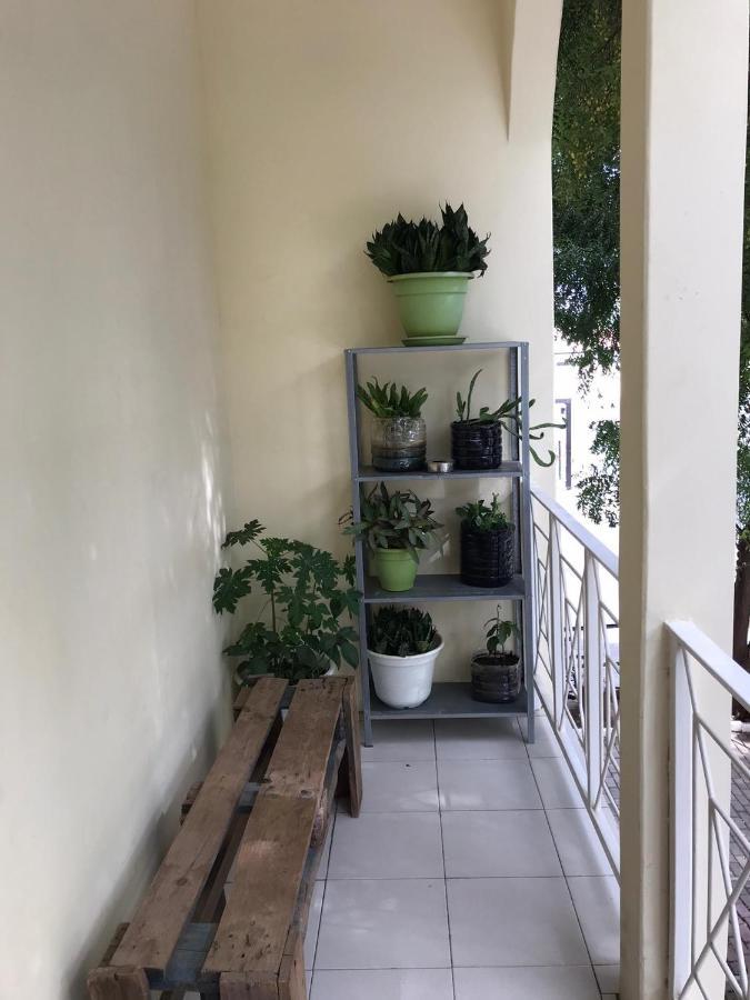 Praiadise Hostel Vila Nova المظهر الخارجي الصورة